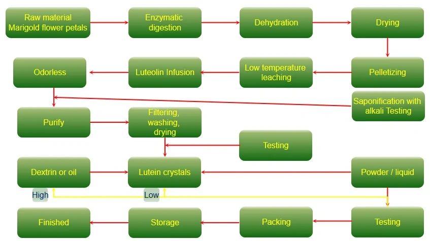 product-847-475 lutein flow chart
