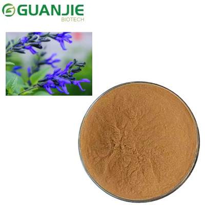 Ommaviy salvia ekstrakti